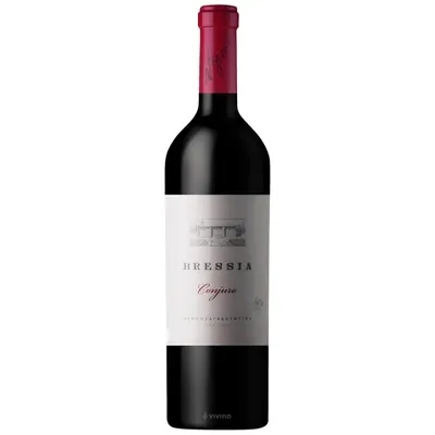 Vino Bressia Conjuro 750 ml