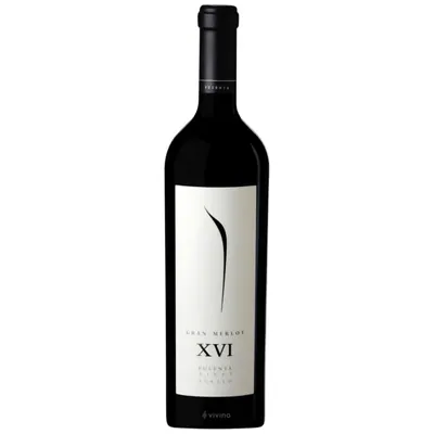 Vino Pulenta Estate Gran Merlot XVI 750 ml