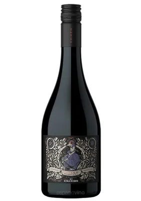 Vino Aventura Valle de Canota Malbec